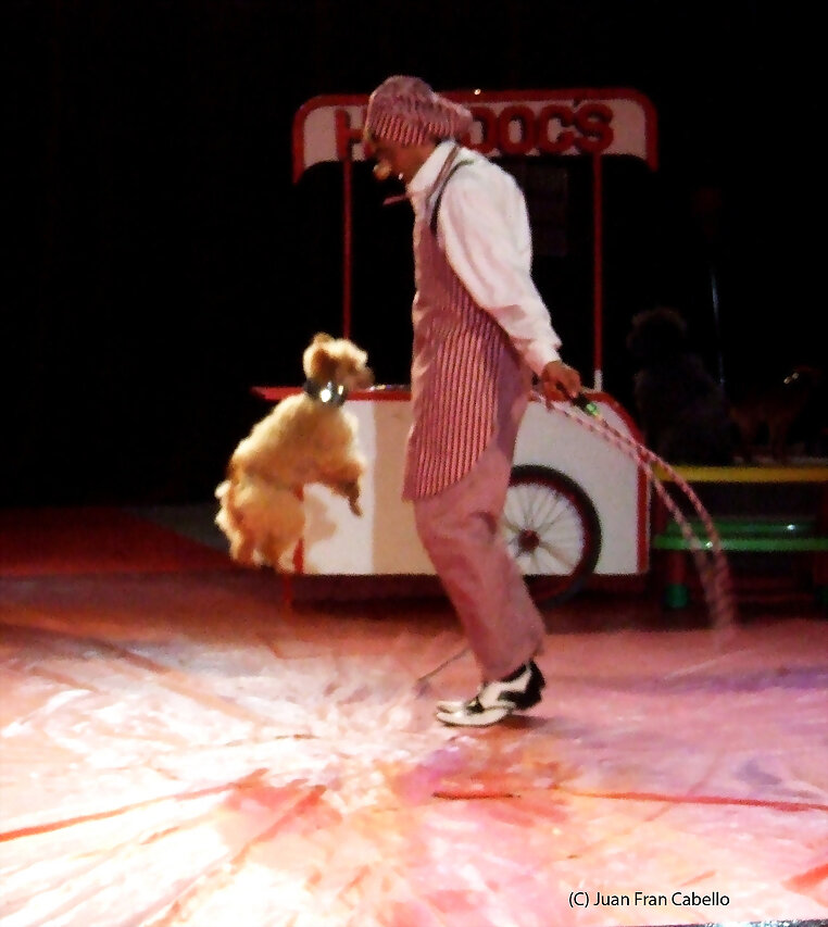 Circo Royal Malaga Abril 2012