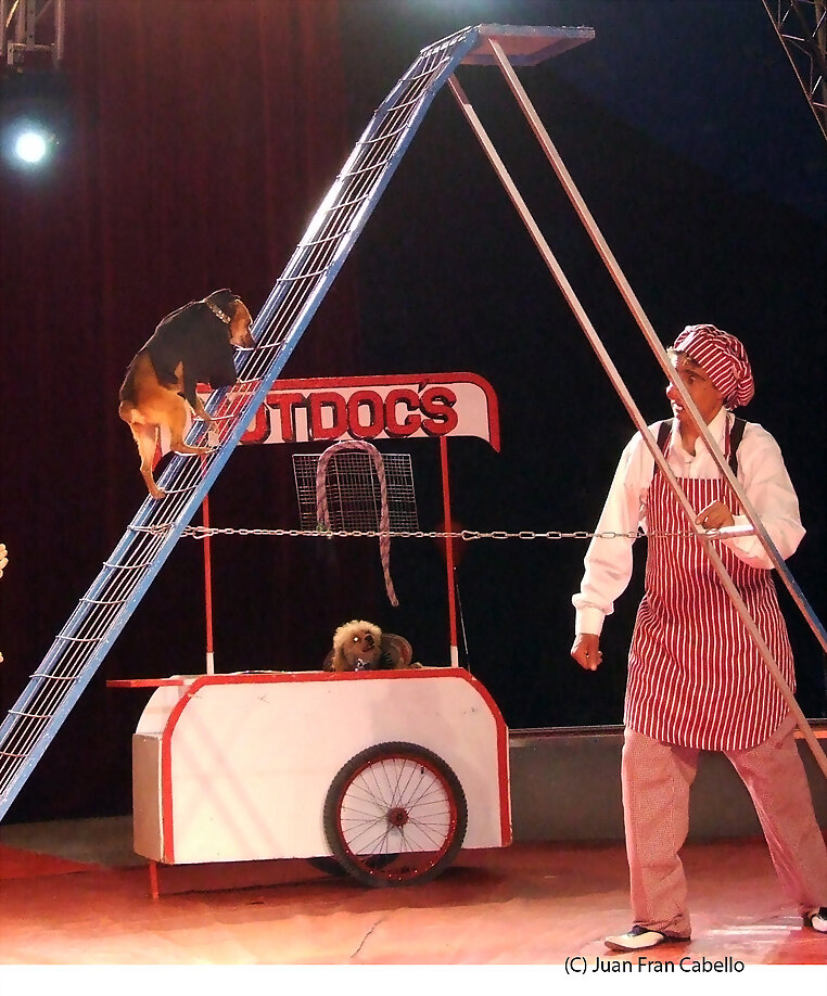 Circo Royal Malaga Abril 2012