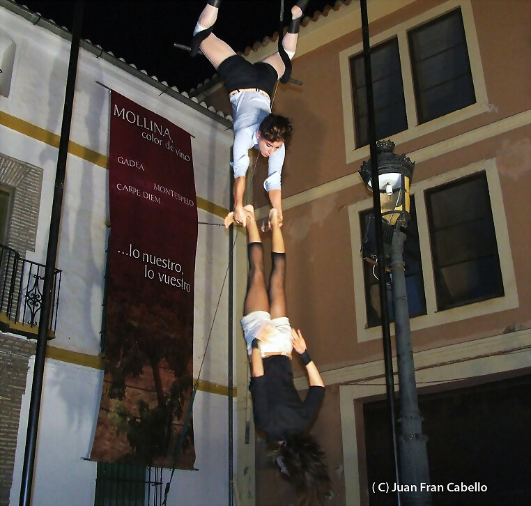 Les  caprigades   premio especdial del publico