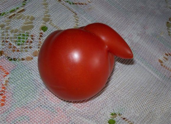 El Tomate Sexy