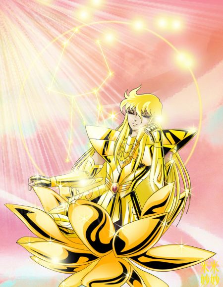 *******SHAKA DE VIRGO******