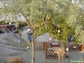 Capadocia Decoration