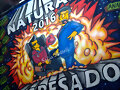 Banderas de Egresados 2016