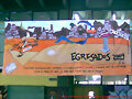 Bandera de egresados aerografiada