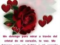 Una rosa para ti
