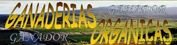 logo ganador 980