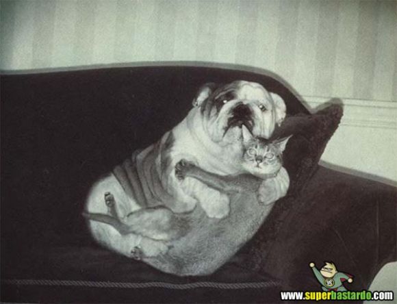 AMOR IMPOSIBLE