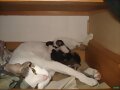 mi gata isus 3 gatuskos