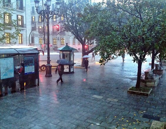 Martes...como llueve...Feliz dia!!!