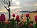 Martes, aire de PRIMAVERA...