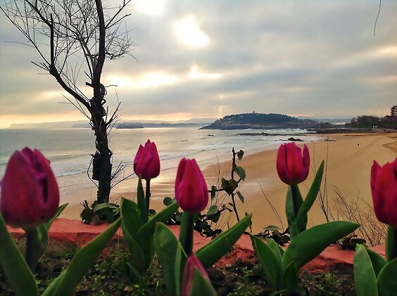 Martes, aire de PRIMAVERA...