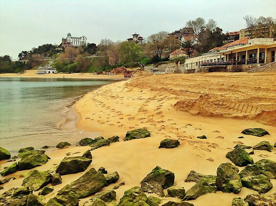 Recuperando la playa de La Magdalena : Feliz Dia!!