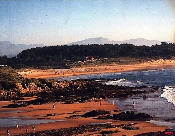 LOREDO