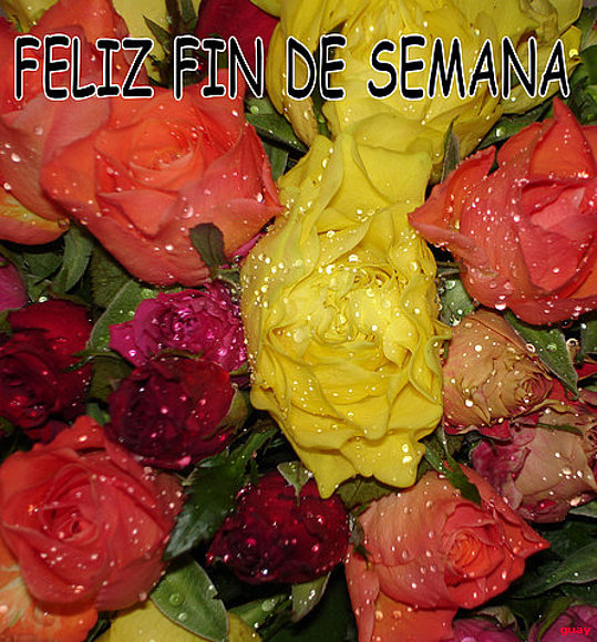 Hola a todos
