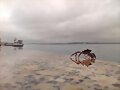 Martes, seguimos con lluvia en Santander. Buen dia
