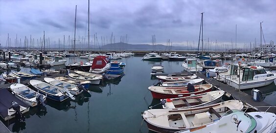 Martes, así amanecía, nublado. Ahora SOL!!!!!