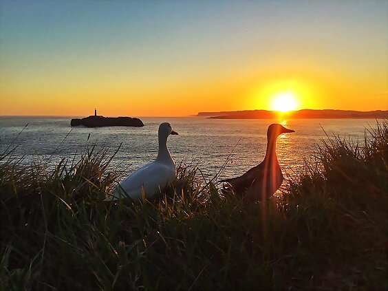 Así amaneció hoy Santander!!!! Miércoles feliz!!!!