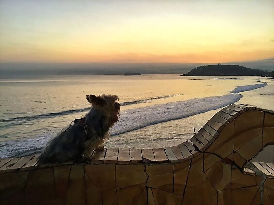 Viernes. Así amanecía hoy...Feliz dia!!!!