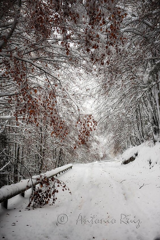 Martes ...que frio... Buen dia a todos!!!
