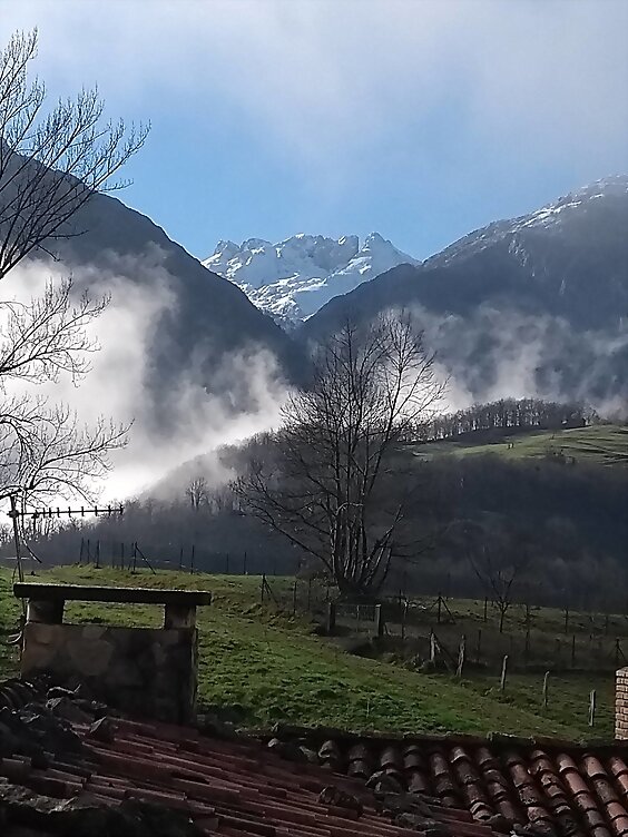 Martes, desde mi ventana...Feliz día!!!!