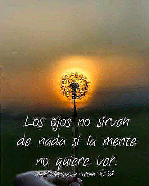 Martes, llueve... Buen día a todos💋