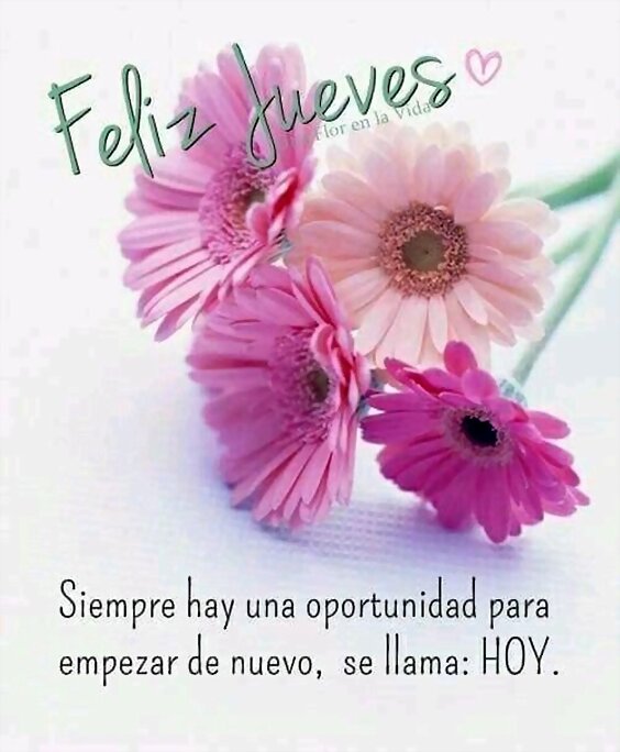 Feliz día a todos!!!