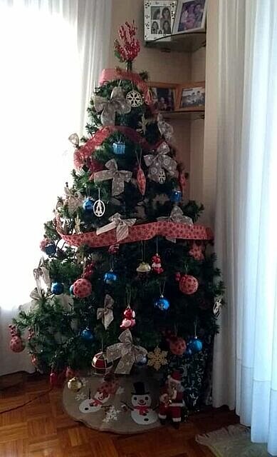 UNA NAVIDAD DIFERENTE 2.
