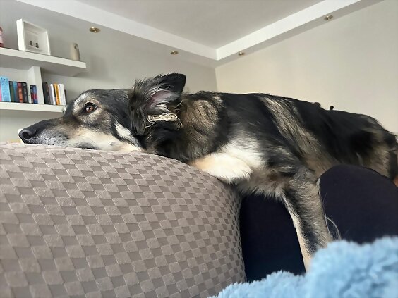 Mi Tango 😍