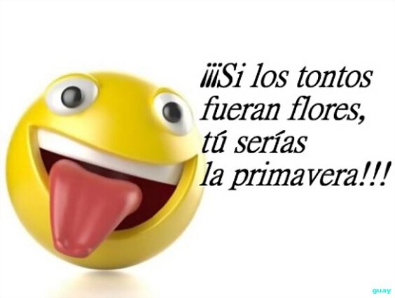 SOLO PARA TI!!!