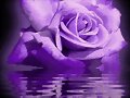 PARA TODOS VOSOTROSSSSSSSSSSSSSSSS