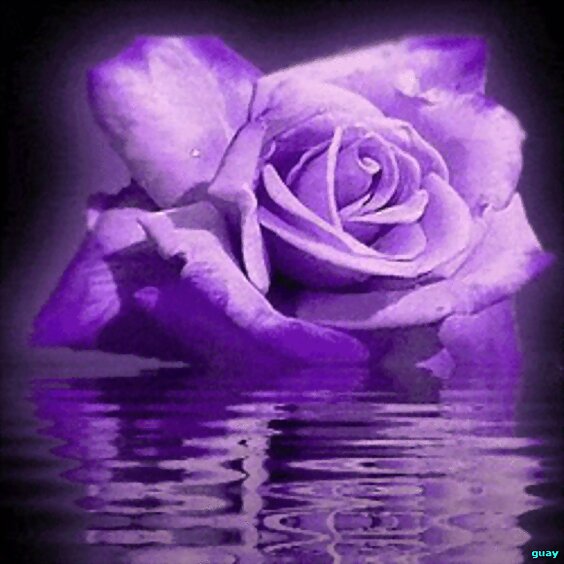 PARA TODOS VOSOTROSSSSSSSSSSSSSSSS