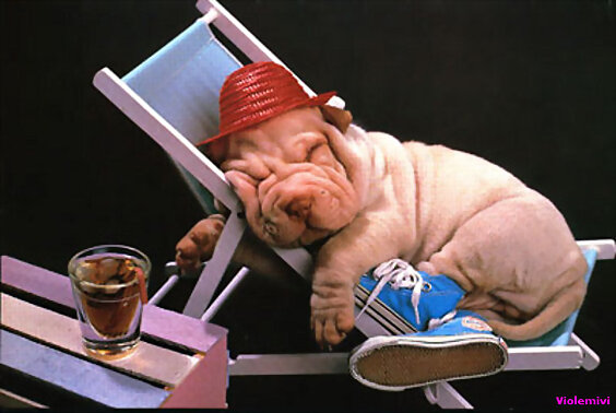 FELIZ VIERNES  !!!!!!!!!!!!!!!!