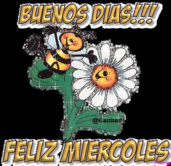 Besitosssssssssssssssssss