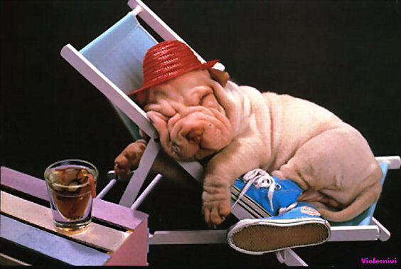 Feliz fin de semana a todos!!!!!
