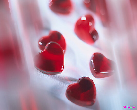 Feliz  SAN VALENTIN !!!!!