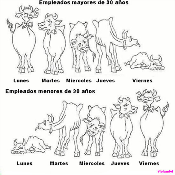 Feliz Viernes!!!!