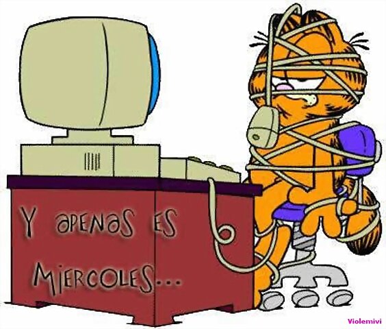 Miércoles.