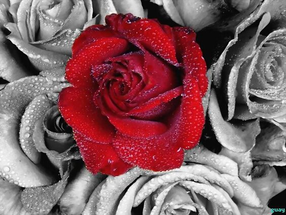 Felices dias a todos!!!!
