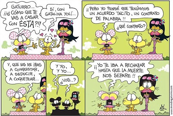 Feliz Miércoles!!!!!!!