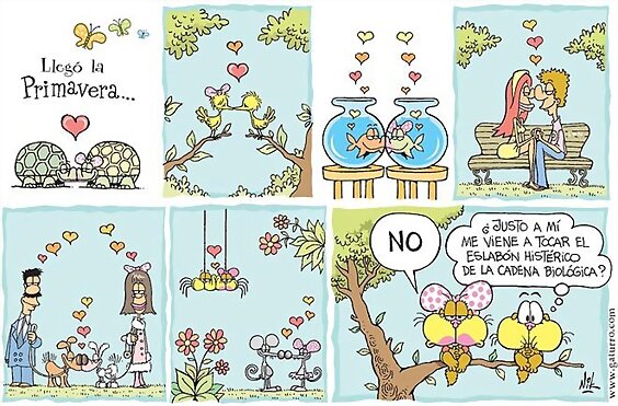 Ya se que no es primavera....