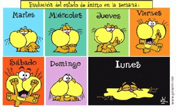 Lunes... Sin mas.
