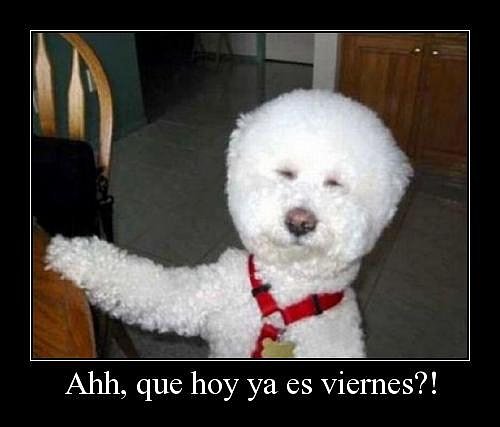 Viernes y sigue lloviendo... jopeeeeeeee