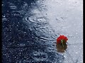 Martes... llueve...