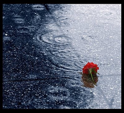Martes. Sigue lloviendo....