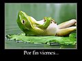 Viernes!!!! nada mas que decir!!! :)