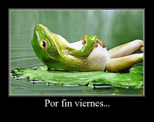 Viernes!!!! nada mas que decir!!! :)