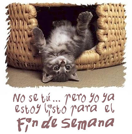 Viernes, Feliz fin de semana a todos!!!!!   :)