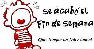 Lunes soleado. Semana empezada!
