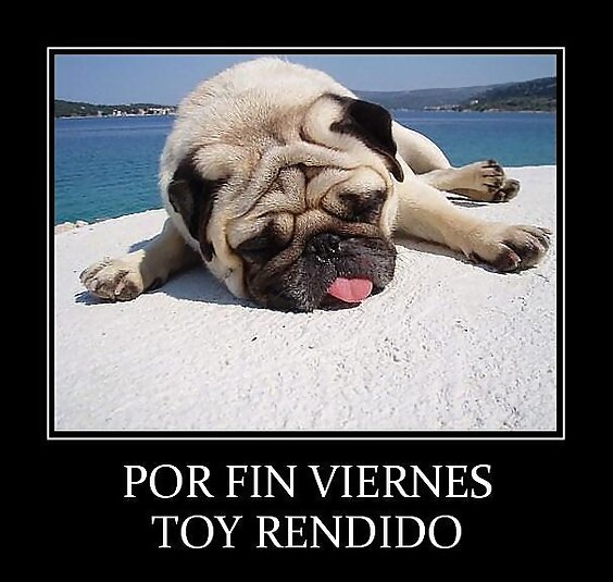 VIERNESSSSSS  !!!!!!!!!!!! BIENNNNNNNNNNN