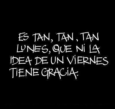 Feliz LUNES!!!!!!!!!!
